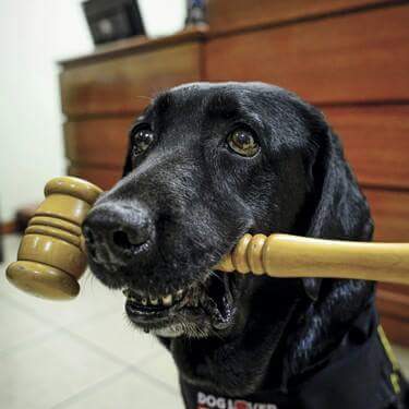 FB_IMG_1455403749971