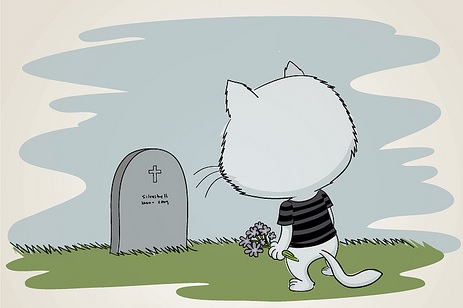 la curiosidad mato al gato